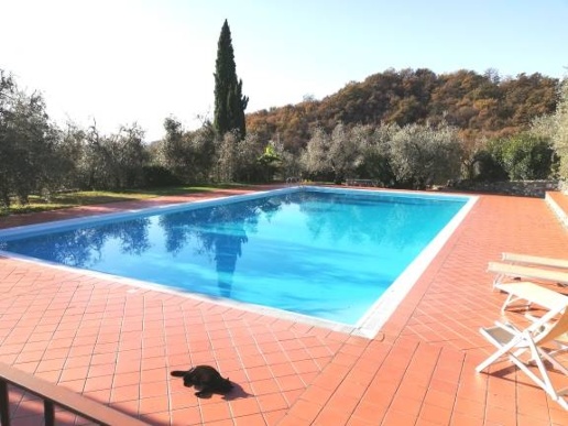 immagine annuncio 7 di 8