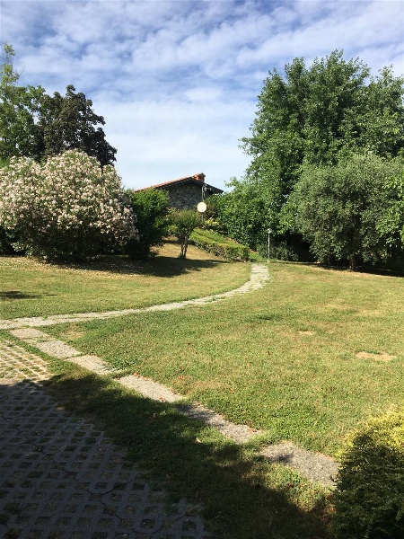 immagine annuncio 5 di 12