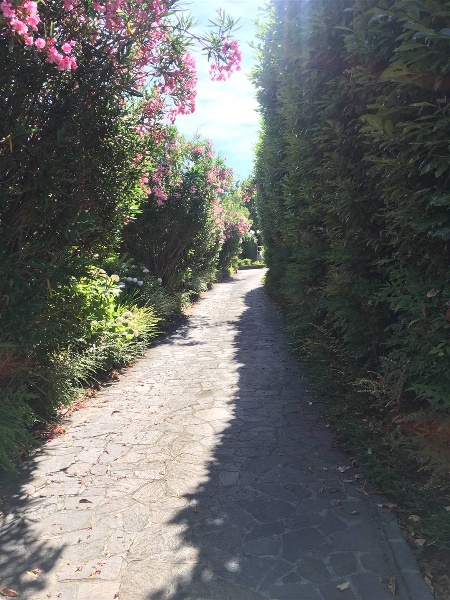 immagine annuncio 6 di 12