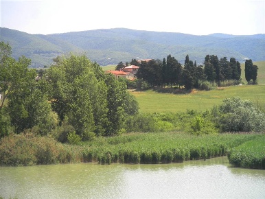 Foto Appartamento in Via del Lago, Santa Luce di 45 m² con 2 locali