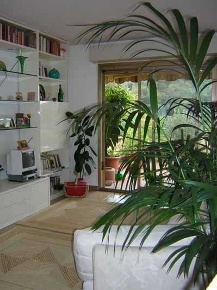 Foto Appartamento a Vallebona Centro di 40 m² con 1 locali in vendita