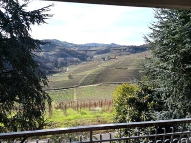 Foto Villa bifamiliare a Canneto Pavese di 210 m² con 10 locali in vendita