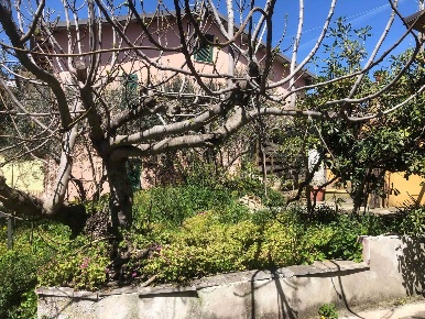 Foto Casa indipendente in Via Antonio Gramsci, Acuto di 500 m² con 8 locali