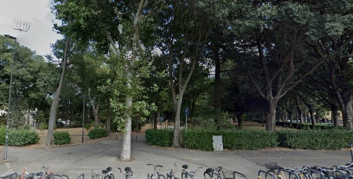 immagine annuncio 2 di 14
