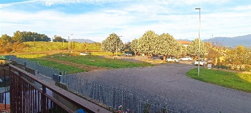 immagine annuncio 11 di 14