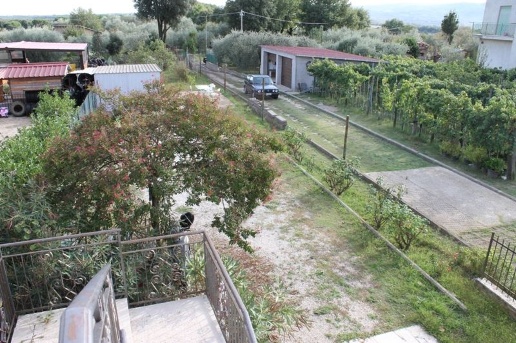 immagine annuncio 8 di 12