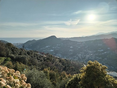 Foto Villa bifamiliare a Vallebona Centro di 170 m² con 5 locali in vendita