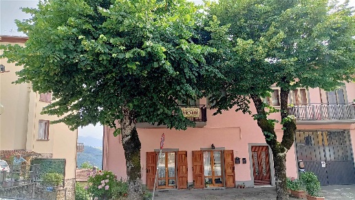 immagine annuncio 4 di 14