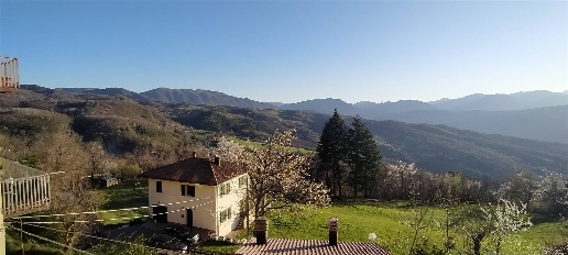 immagine annuncio 12 di 14