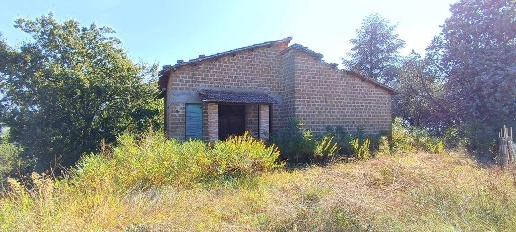 Foto Appartamento a Torri in Sabina in vendita