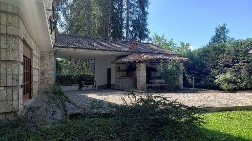 immagine annuncio 10 di 13