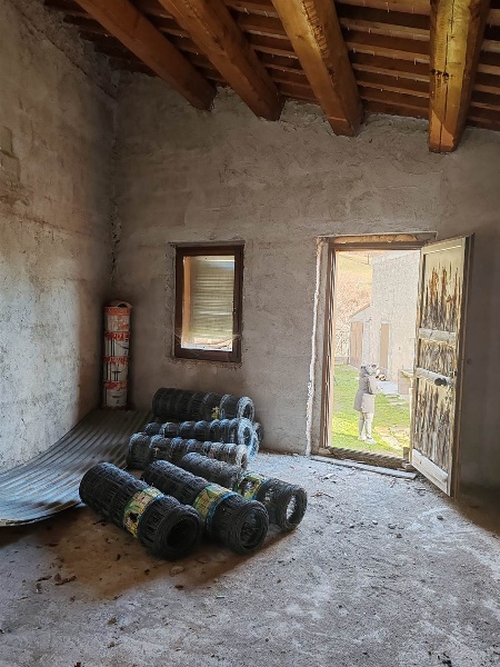 immagine annuncio 11 di 14