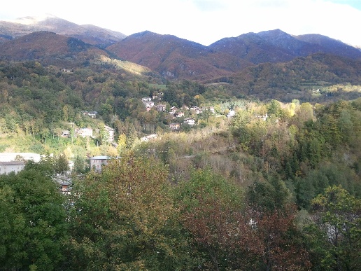 immagine annuncio 4 di 7
