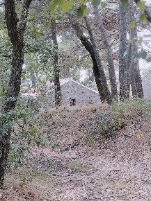 Foto Terreno agricolo a Milo di 30 m² in vendita