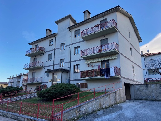 immagine annuncio 12 di 13