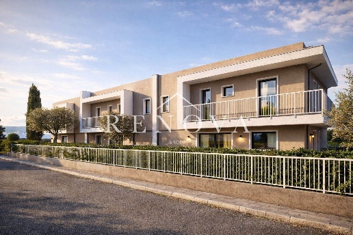 immagine annuncio 6 di 14