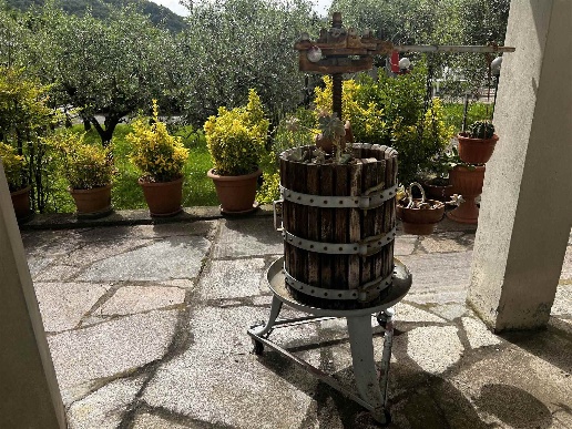 immagine annuncio 7 di 15