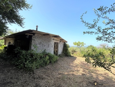Foto Villa unifamiliare a Poggio Catino di 50 m² con 1 locali in vendita
