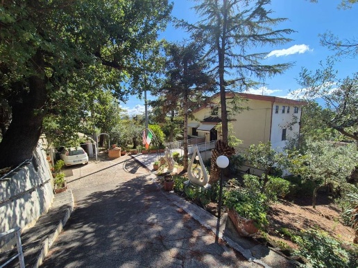 immagine annuncio 1 di 10