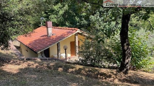 Foto Villa unifamiliare a Montieri di 50 m² con 2 locali in vendita