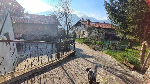 immagine annuncio 3 di 7