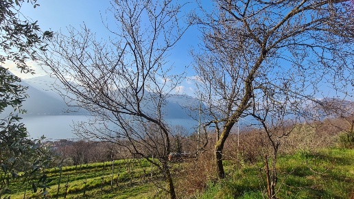 immagine annuncio 6 di 7