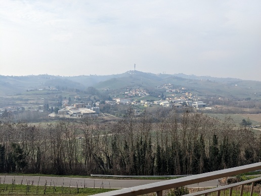 immagine annuncio 12 di 13