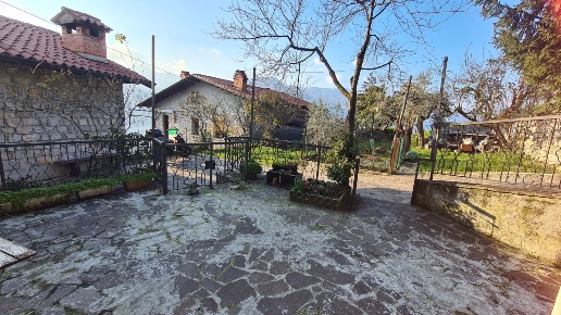 immagine annuncio 1 di 7