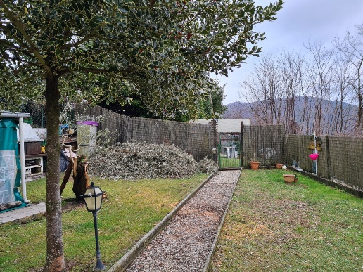 immagine annuncio 2 di 14