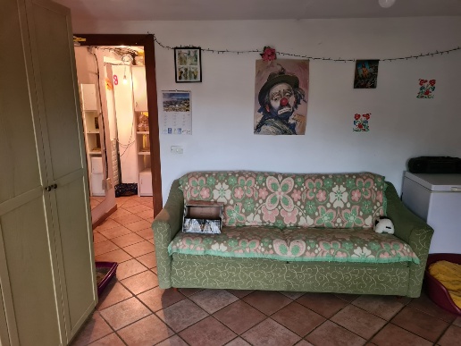 immagine annuncio 4 di 14