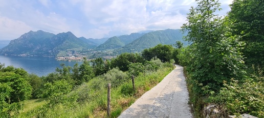 immagine annuncio 3 di 8