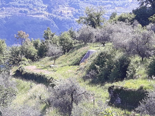 immagine annuncio 5 di 8