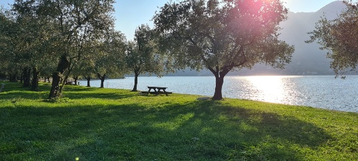 Foto Appartamento a Monte Isola di 50 m² con 2 locali in vendita
