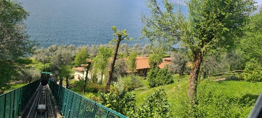 immagine annuncio 4 di 12