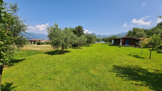 immagine annuncio 2 di 11