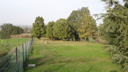 Foto Villa unifamiliare a Pecetto di Valenza di 130 m² con 4 locali