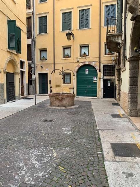 immagine annuncio 3 di 12