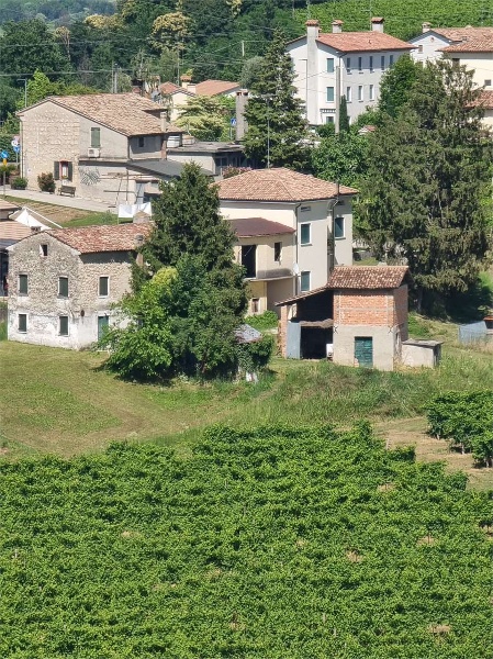 immagine annuncio 3 di 7