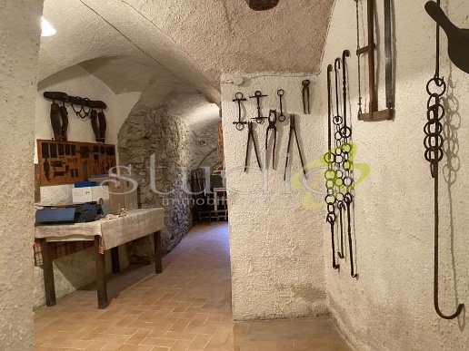 immagine annuncio 10 di 13