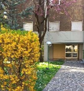 Foto Appartamento in senigallia  11, Milano Bruzzano di 123 m² con 4 locali