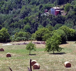 Foto Villa unifamiliare in località casetta, Villa Collemandina di 150 m²