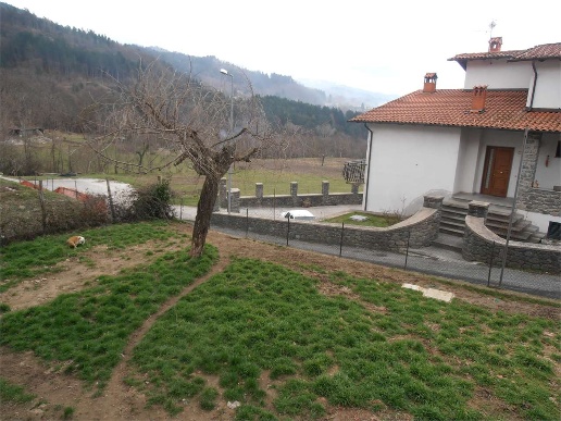 immagine annuncio 4 di 12