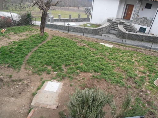 immagine annuncio 5 di 12