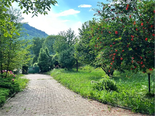 immagine annuncio 8 di 12