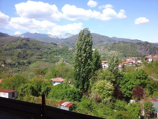 immagine annuncio 1 di 12