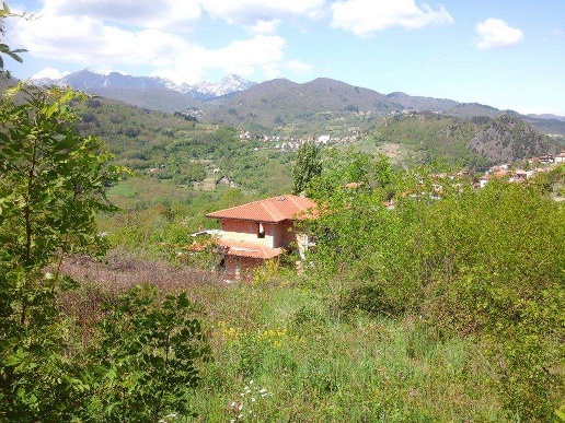 immagine annuncio 2 di 12