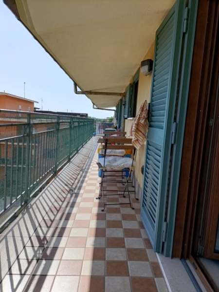 immagine annuncio 1 di 14