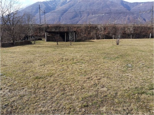 immagine annuncio 5 di 14