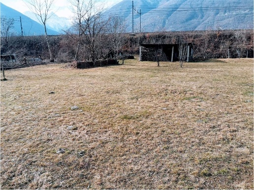 immagine annuncio 6 di 14