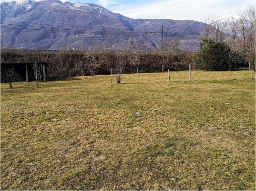 immagine annuncio 9 di 14